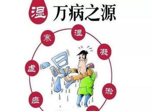 夏秋交替吃什么能去湿气最好呢